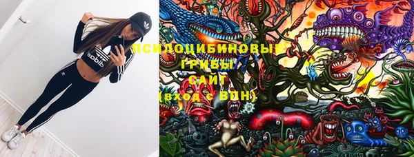прущие крисы Дмитриев
