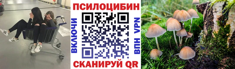 Галлюциногенные грибы прущие грибы  Купить где  Белозерск 